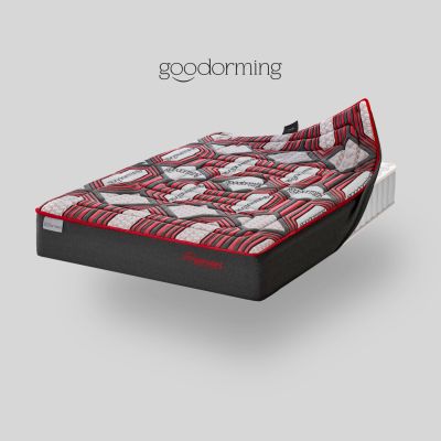 Topper de Goodorming con tecnología Pranan